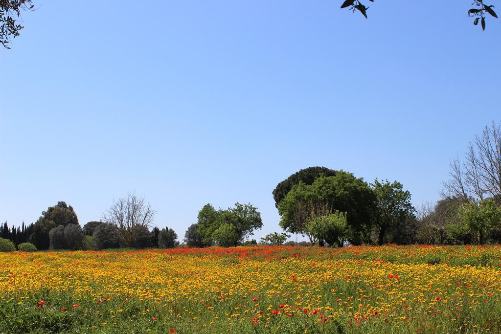 Casina Bardoscia Villa Cutrofiano Buitenkant foto